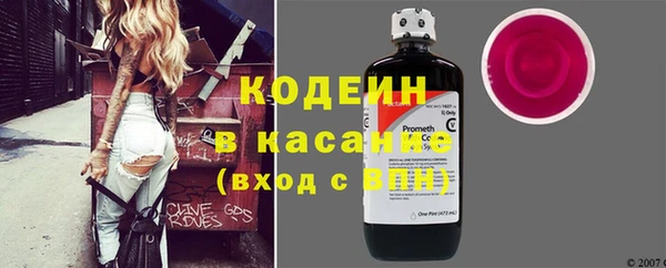 гидра Вязьма