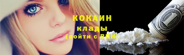 гидра Вязьма