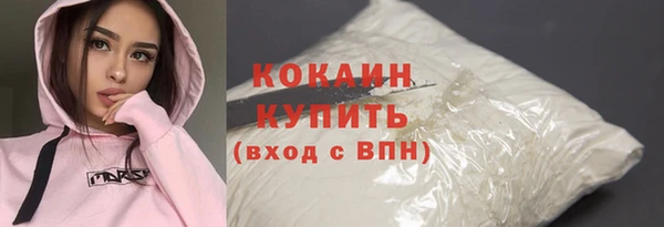 гидра Вязьма