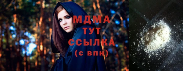 гидра Вязьма