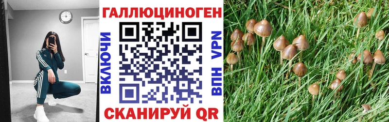 Купить  Котовск  Псилоцибиновые грибы прущие грибы 